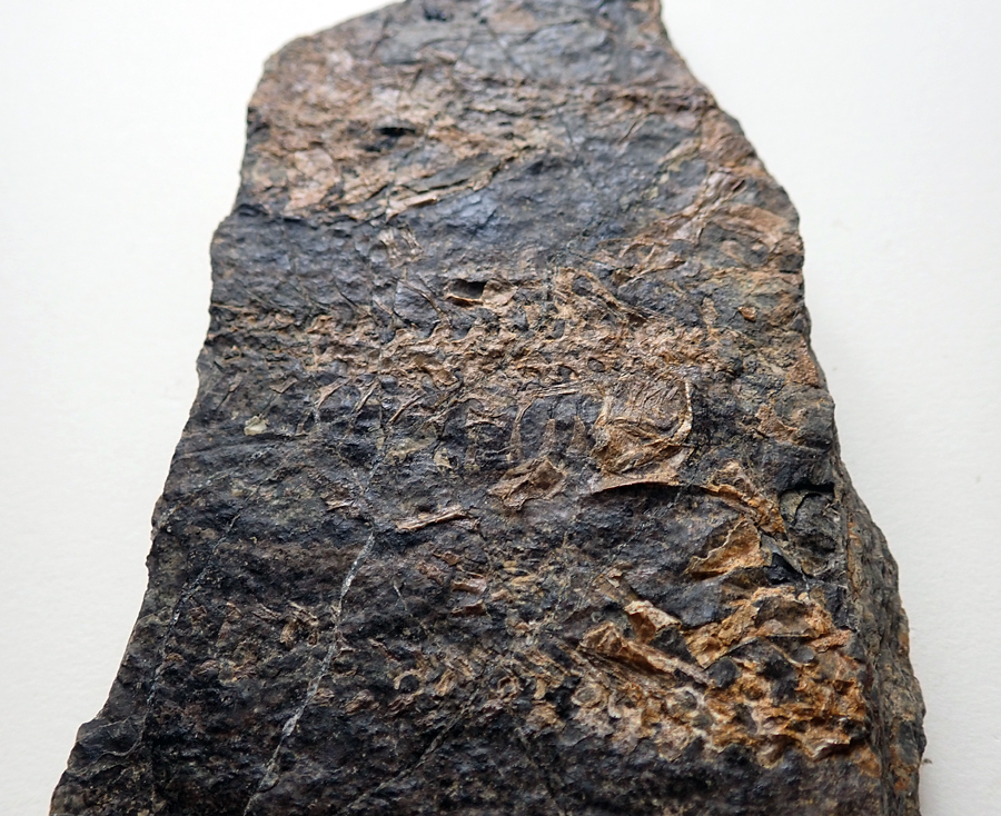 Rozměry kamene jsou 14, 5 x 7 cm.